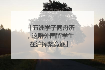 五洲学子同舟济，这群外国留学生在沪挥桨竞逐