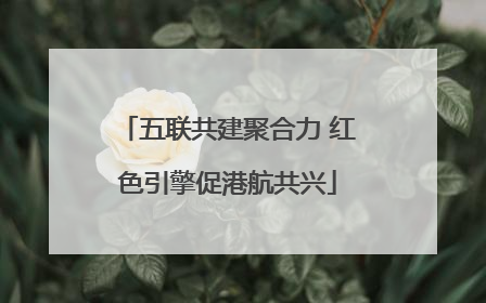 五联共建聚合力 红色引擎促港航共兴