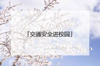 交通安全进校园