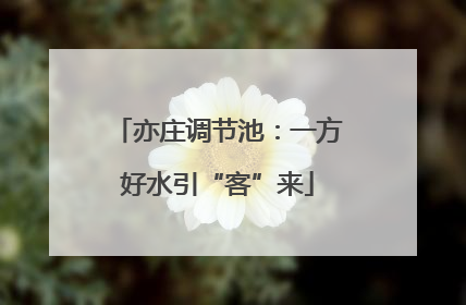 亦庄调节池：一方好水引“客”来