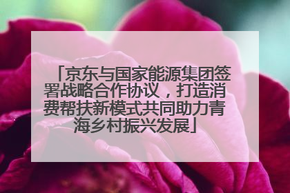 京东与国家能源集团签署战略合作协议，打造消费帮扶新模式共同助力青海乡村振兴发展