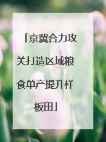 京冀合力攻关打造区域粮食单产提升样板田