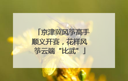 京津冀风筝高手顺义开赛，花样风筝云端“比武”