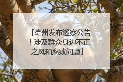 亳州发布巡察公告！涉及群众身边不正之风和腐败问题