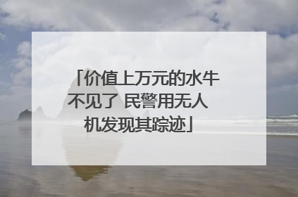 价值上万元的水牛不见了 民警用无人机发现其踪迹