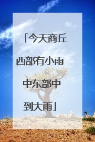 今天商丘西部有小雨 中东部中到大雨
