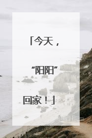 今天，“阳阳”回家！