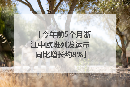 今年前5个月浙江中欧班列发运量同比增长约8%