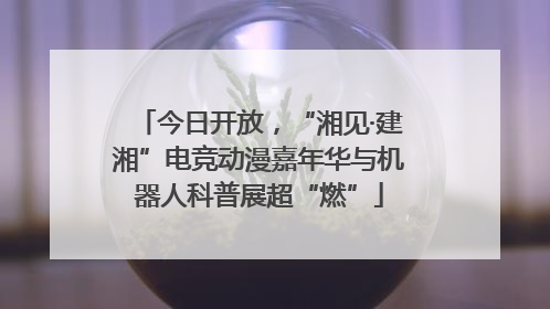今日开放，“湘见·建湘”电竞动漫嘉年华与机器人科普展超“燃”