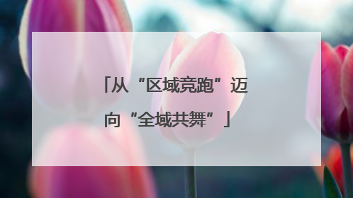 从“区域竞跑”迈向“全域共舞”