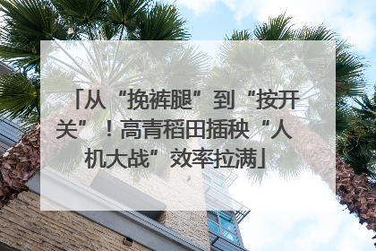 从“挽裤腿”到“按开关”！高青稻田插秧“人机大战”效率拉满