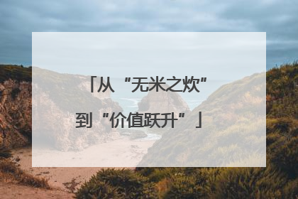 从“无米之炊”到“价值跃升”