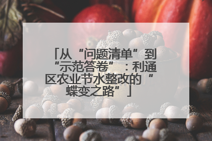 从“问题清单”到“示范答卷”：利通区农业节水整改的“蝶变之路”