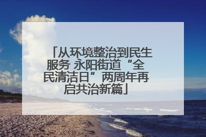 从环境整治到民生服务 永阳街道“全民清洁日”两周年再启共治新篇