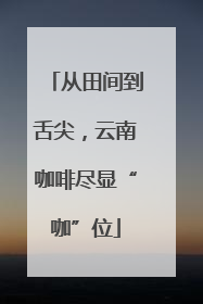 从田间到舌尖，云南咖啡尽显“咖”位
