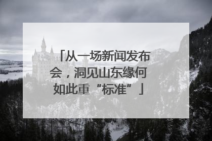 从一场新闻发布会，洞见山东缘何如此重“标准”