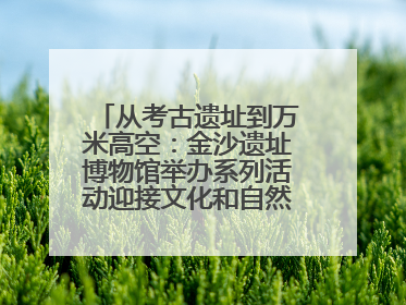 从考古遗址到万米高空：金沙遗址博物馆举办系列活动迎接文化和自然遗产日