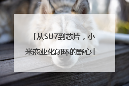 从SU7到芯片，小米商业化闭环的野心
