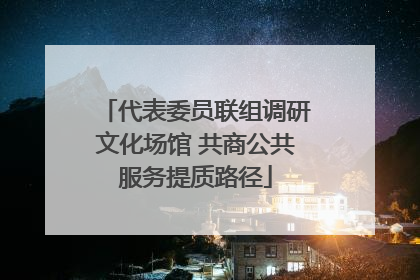 代表委员联组调研文化场馆 共商公共服务提质路径