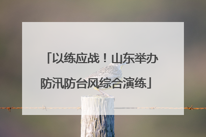 以练应战！山东举办防汛防台风综合演练