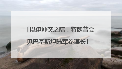 以伊冲突之际，特朗普会见巴基斯坦陆军参谋长
