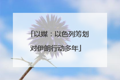 以媒：以色列筹划对伊朗行动多年