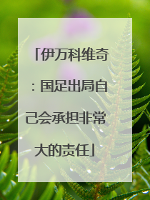 伊万科维奇：国足出局自己会承担非常大的责任
