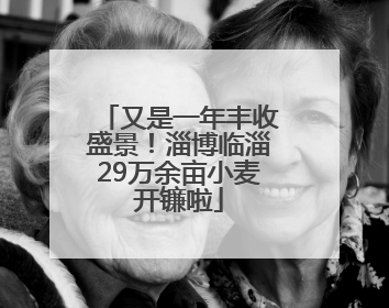 又是一年丰收盛景！淄博临淄29万余亩小麦开镰啦