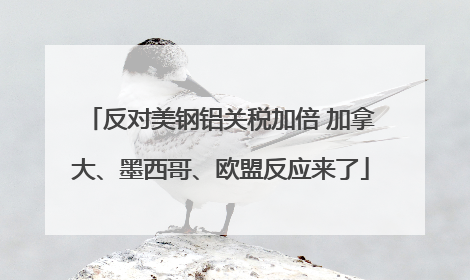 反对美钢铝关税加倍 加拿大、墨西哥、欧盟反应来了