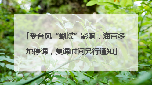 受台风“蝴蝶”影响，海南多地停课，复课时间另行通知