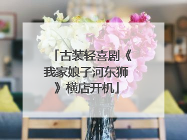古装轻喜剧《我家娘子河东狮》横店开机