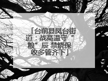 台前县凤台街道：战高温守“粮”辰 禁烧保收多管齐下
