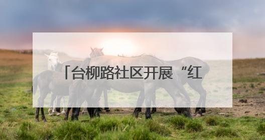 台柳路社区开展“红柳情”便民服务大集 电器维修十分火爆
