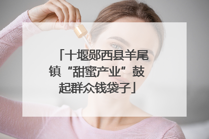 十堰郧西县羊尾镇“甜蜜产业”鼓起群众钱袋子