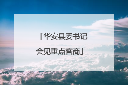 华安县委书记会见重点客商