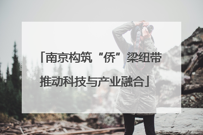 南京构筑“侨”梁纽带推动科技与产业融合