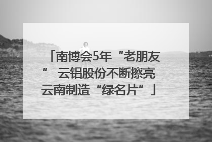 南博会5年“老朋友” 云铝股份不断擦亮云南制造“绿名片”