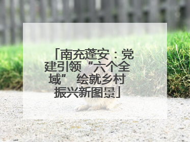 南充蓬安：党建引领“六个全域” 绘就乡村振兴新图景