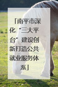 南平市深化“三大平台”建设创新打造公共就业服务体系