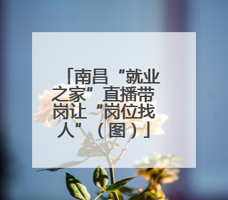 南昌“就业之家”直播带岗让“岗位找人”（图）
