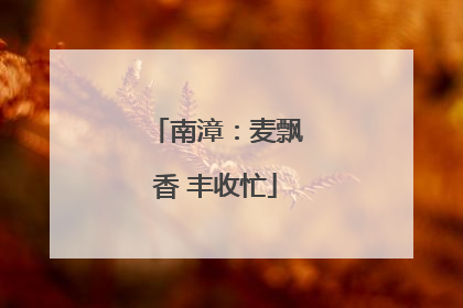 南漳：麦飘香 丰收忙