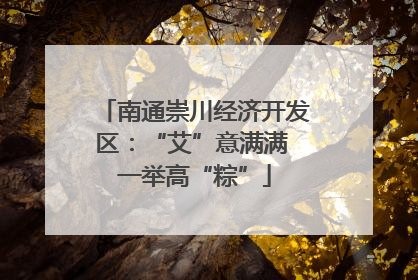 南通崇川经济开发区：“艾”意满满 一举高“粽”