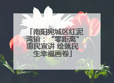 南阳宛城区红泥湾镇：“零距离”惠民宣讲 绘就民生幸福画卷