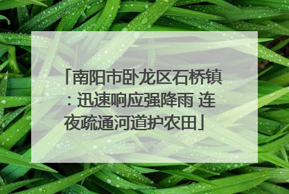 南阳市卧龙区石桥镇：迅速响应强降雨 连夜疏通河道护农田