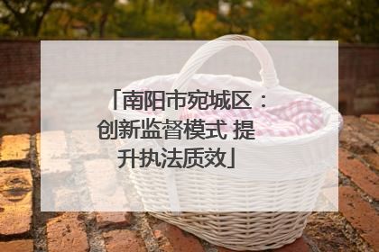 南阳市宛城区：创新监督模式 提升执法质效