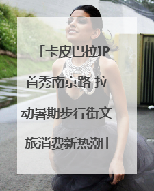 卡皮巴拉IP首秀南京路 拉动暑期步行街文旅消费新热潮
