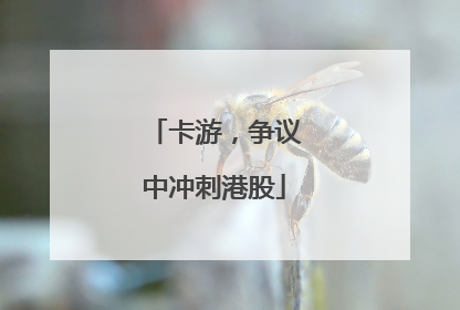 卡游，争议中冲刺港股