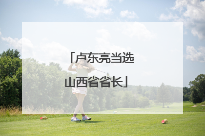 卢东亮当选山西省省长