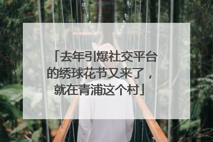 去年引爆社交平台的绣球花节又来了，就在青浦这个村