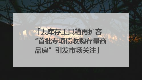 去库存工具箱再扩容 “首批专项债收购存量商品房”引发市场关注